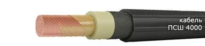 Кабель ПСШ 4000 35